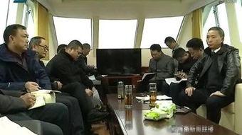 刘晓红 清网行动,刘晓红助力网络安全新篇章